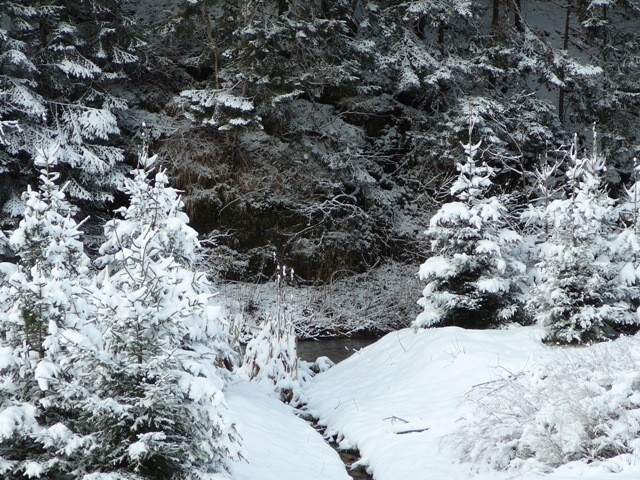 Gorski kotar